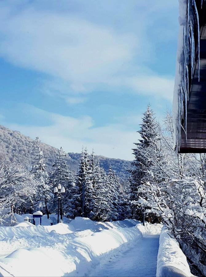 Hasi Hotel Dżermuk Zewnętrze zdjęcie